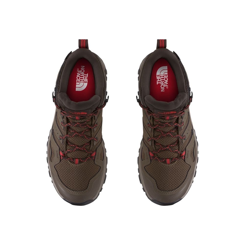 hedgehog fastpack 2