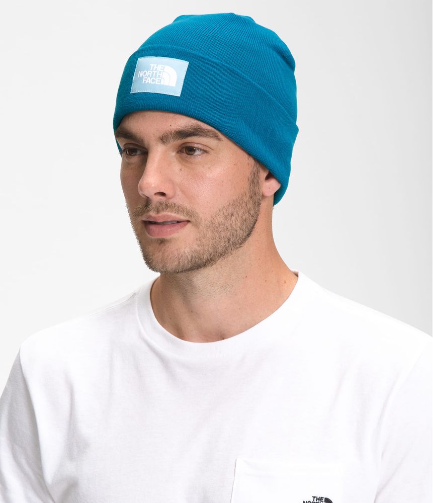 Gorro-Dock-Worker-Recycled-Beanie-Azul-The-North-Face