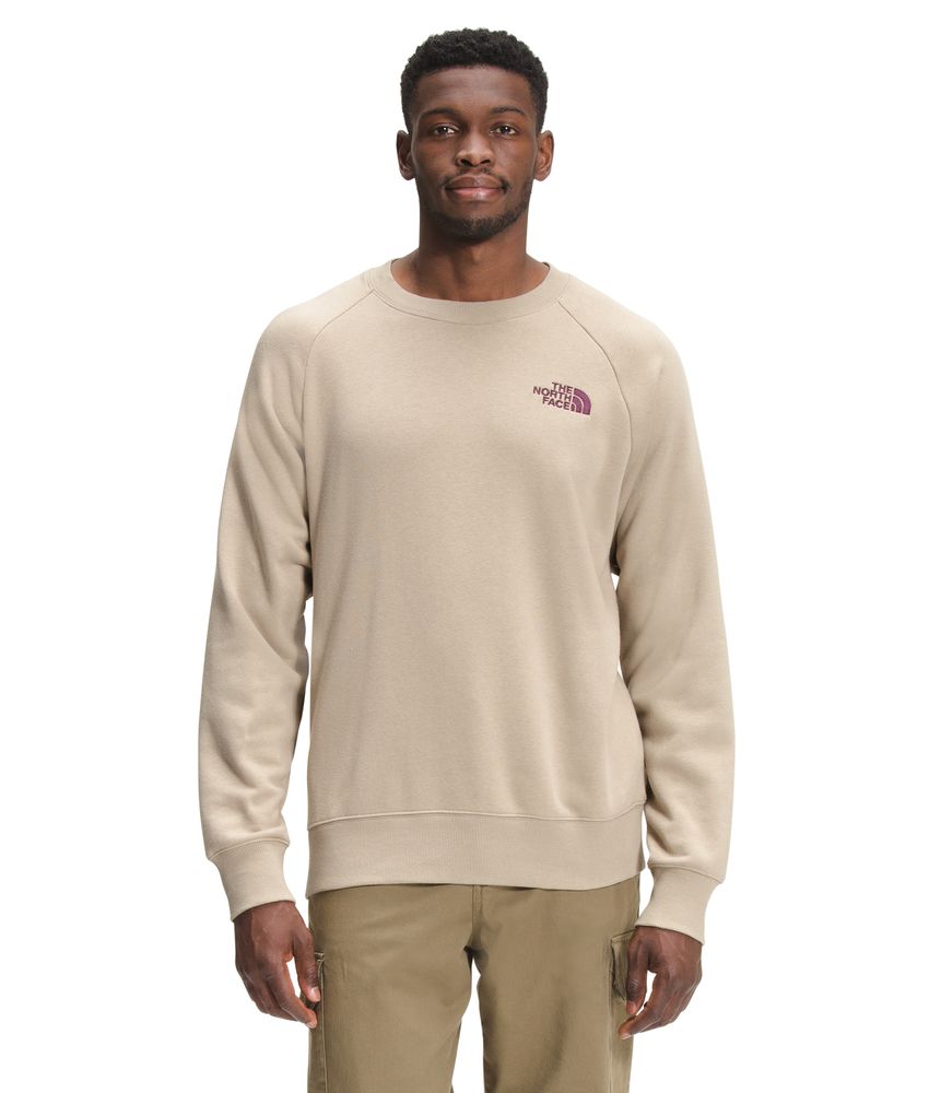 Buzo Simple Logo Crew Hombre Beige The North Face - Main Image