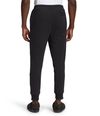 Pantalon-Box-Nse-Jogger-Negro-Hombre-The-North-Face