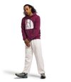 Buzo-Jumbo-Half-Dome-Hoodie-Hombre-Vinotinto-The-North-Face-