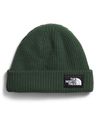 Gorro-Salty-Dog-Lined-Beanie-Verde-Unisex-The-North-Face-