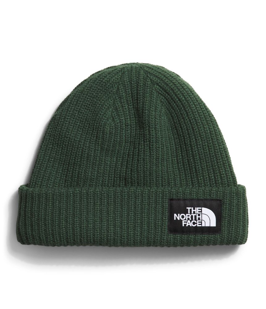 Gorro-Salty-Dog-Lined-Beanie-Verde-Unisex-The-North-Face-