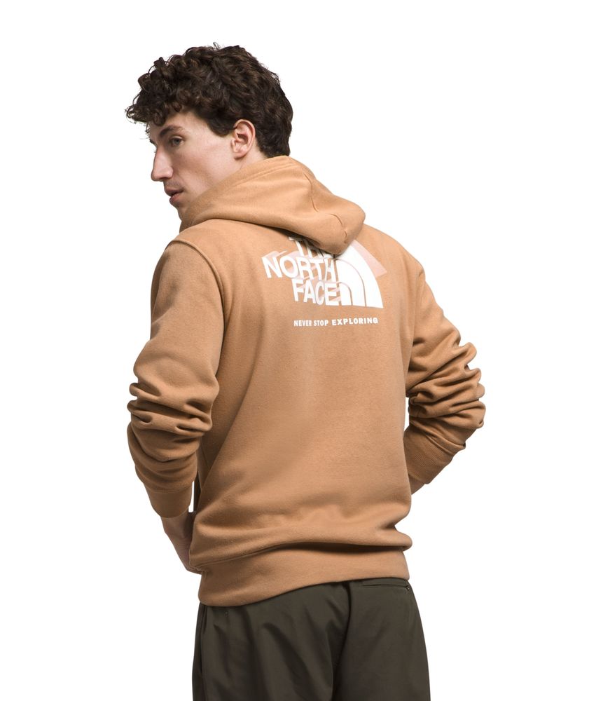 Buzo-Box-Nse-Pullover-Hoodie-Cafe-Hombre-The-North-Face