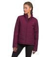 Chompa-Tamburello-Termica-Morada-Mujer-The-North-Face