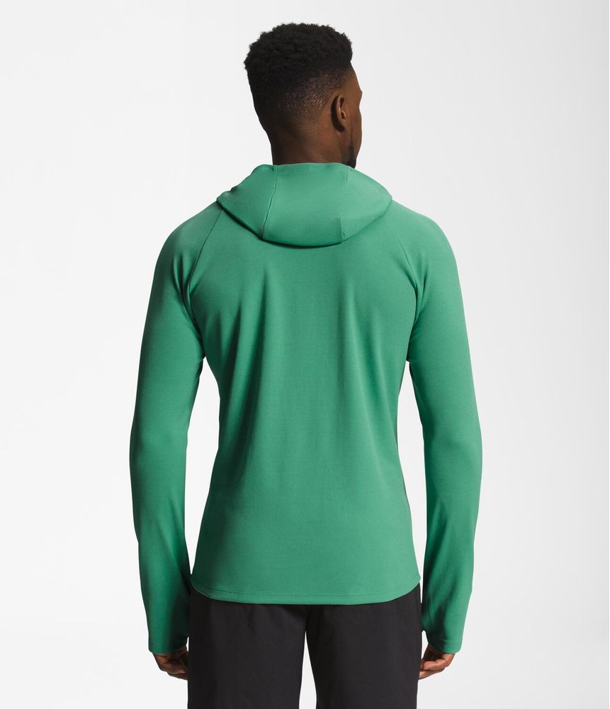 Buzo-Wander-Sun-Hoodie-Verde-Hombre-The-North-Face