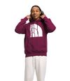 Buzo-Jumbo-Half-Dome-Hoodie-Hombre-Vinotinto-The-North-Face-