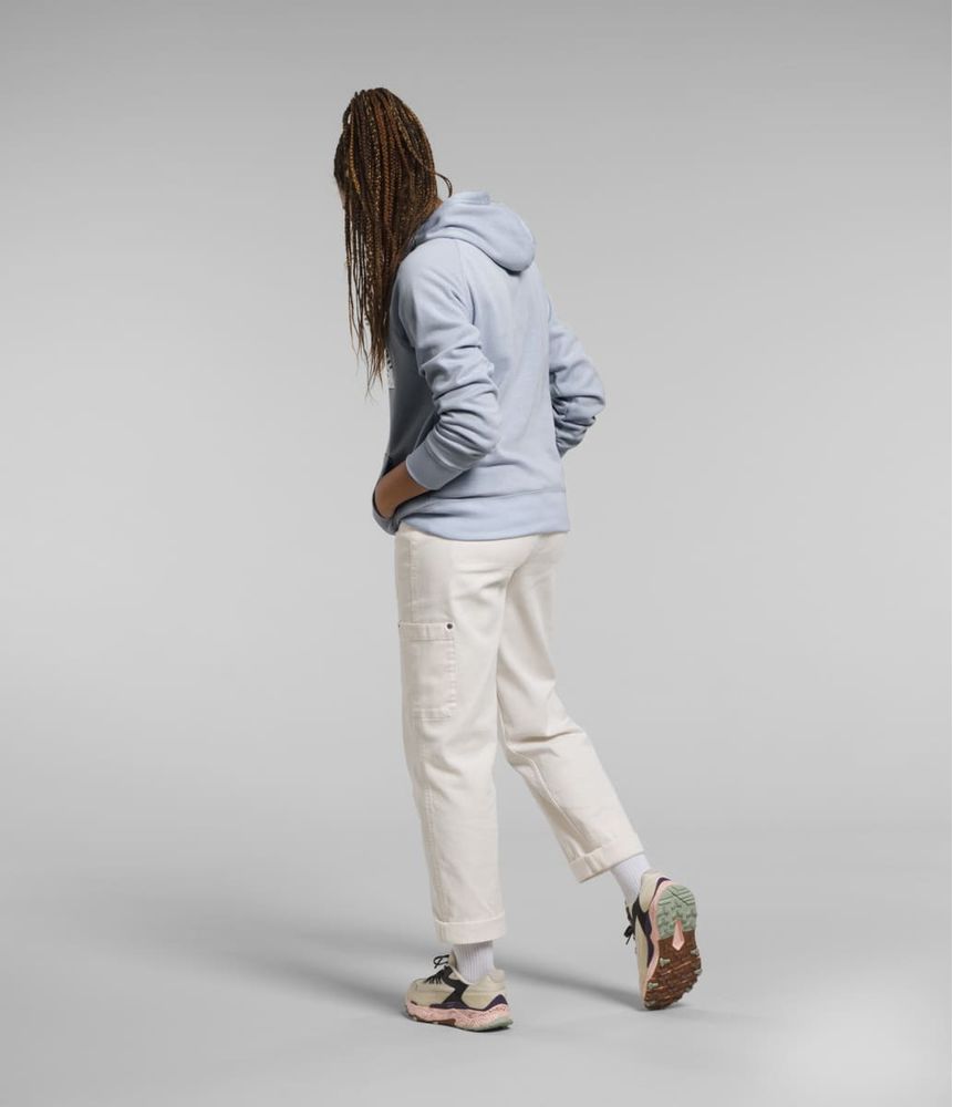 Buzo-W-Half-Dome-Pullover-Hoodie-Lila-Mujer-The-North-Face-