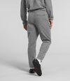 Pantalon-Alpine-Polartec-100-Hombre-Gris-The-North-Face-
