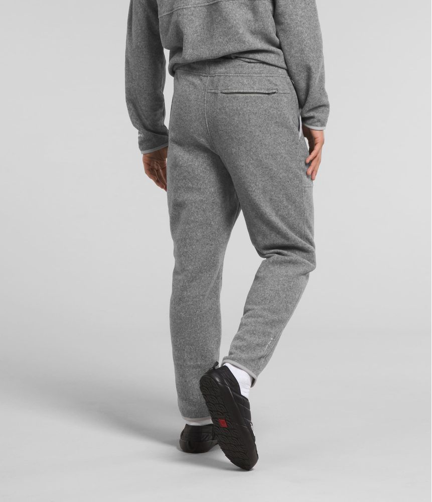 Pantalon-Alpine-Polartec-100-Hombre-Gris-The-North-Face-