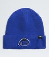 Gorro-Tnf-Logo-Box-Cuffed-Beanie-Azul-Unisex-The-North-Face-
