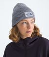 Gorro-Tnf-Logo-Box-Cuffed-Beanie-Azul-Unisex-The-North-Face-