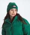 Gorro-Tnf-Logo-Box-Cuffed-Beanie-Verde-Unisex-The-North-Face-