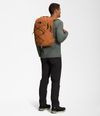 NF0A3VXFARA_atras